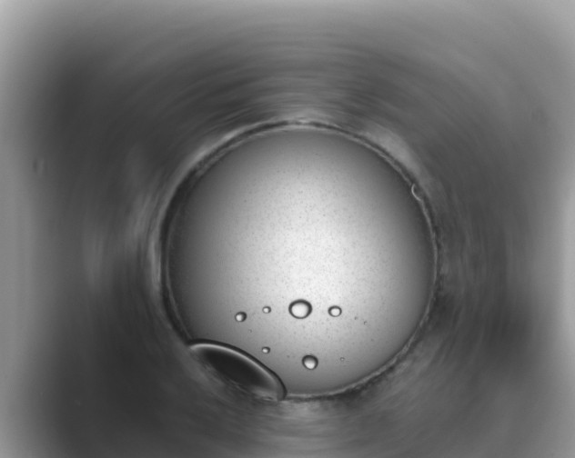 X0000089831032200707051035