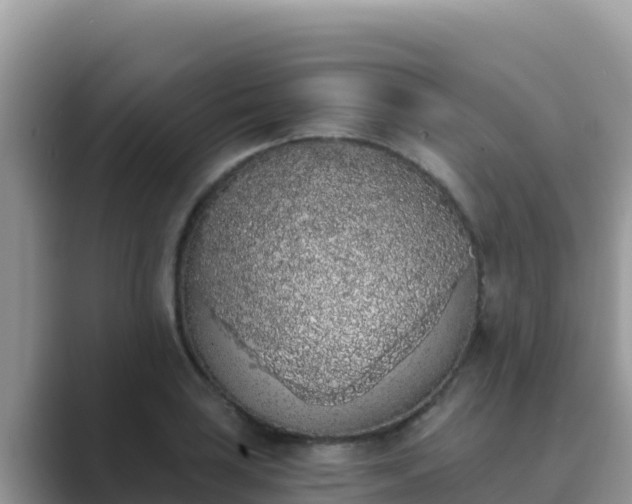 X0000089831035200707051035