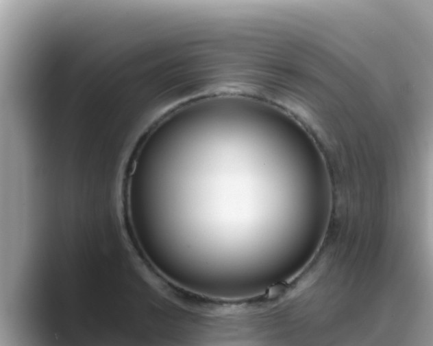 X0000089831038200707051035