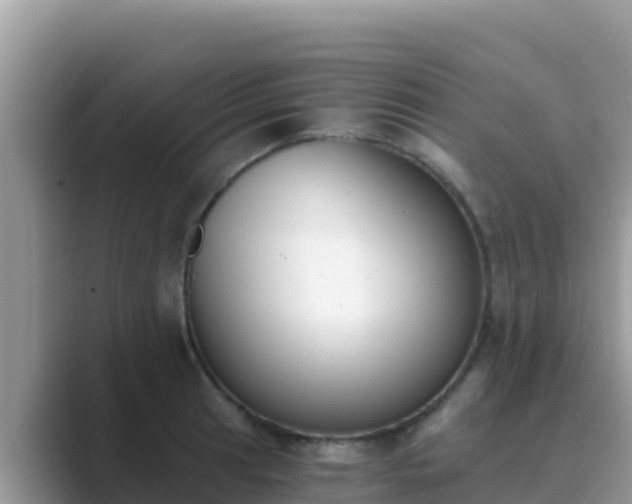 X0000089831041200707051035