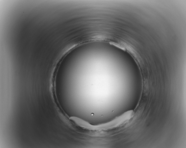 X0000089831042200707051035