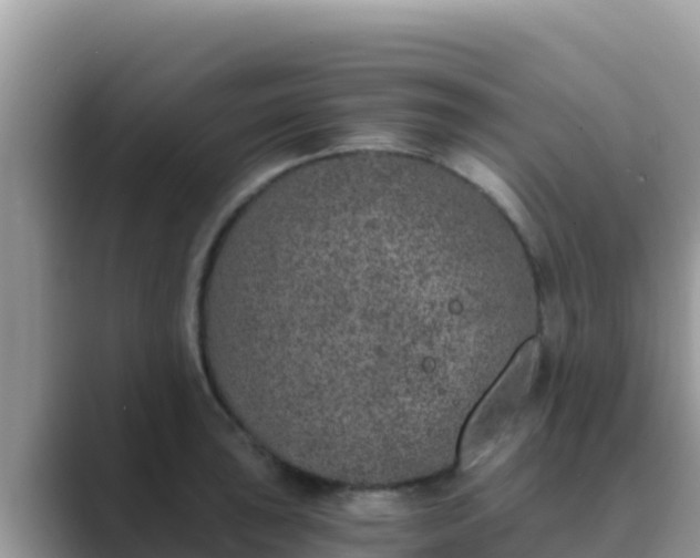 X0000089831043200707051035