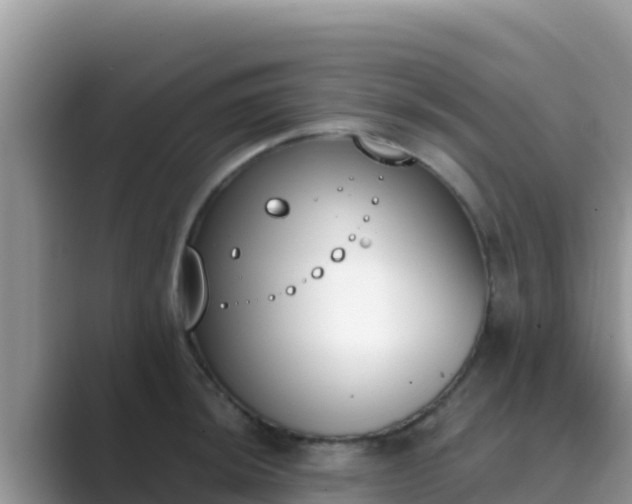 X0000089831044200707051035