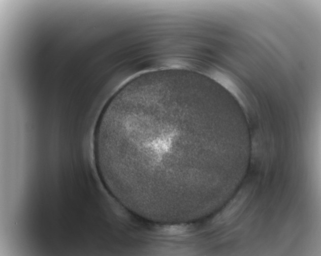 X0000089831047200707051035