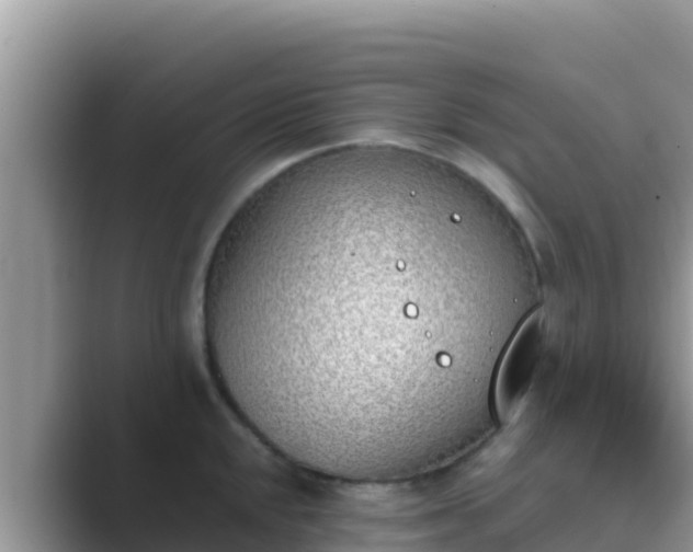 X0000089831048200707051035