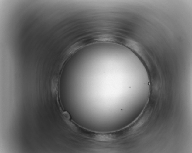 X0000089831049200707051035