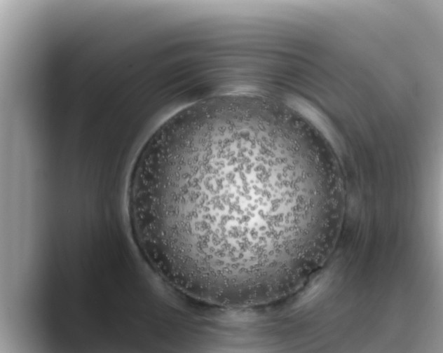 X0000089831050200707051035