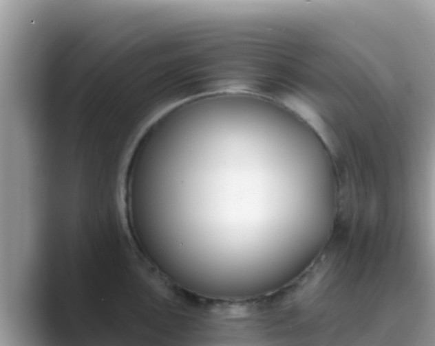 X0000089831051200707051035