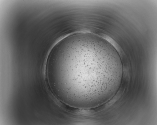 X0000089831052200707051035