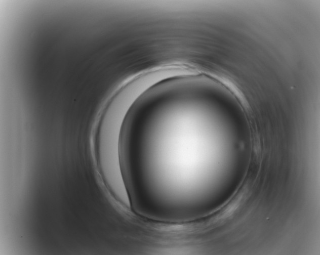 X0000089831054200707051035