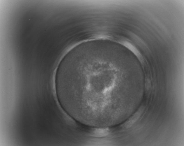 X0000089831055200707051035