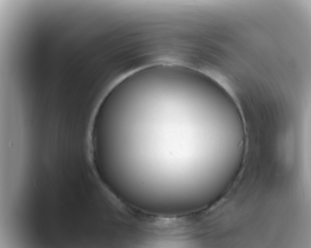 X0000089831056200707051035