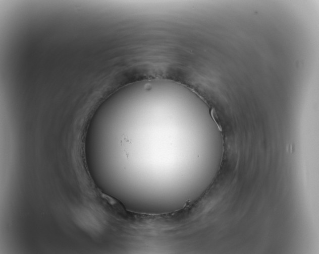 X0000089831057200707051035