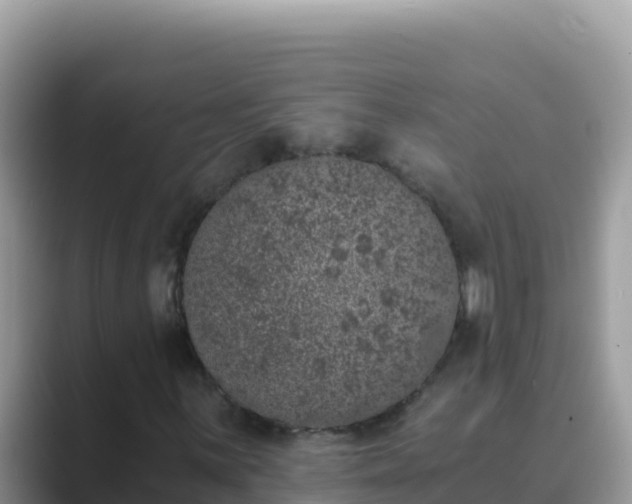 X0000089831059200707051035