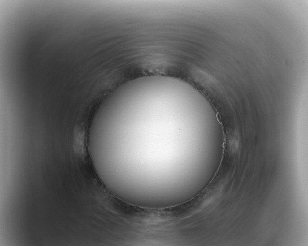 X0000089831060200707051035