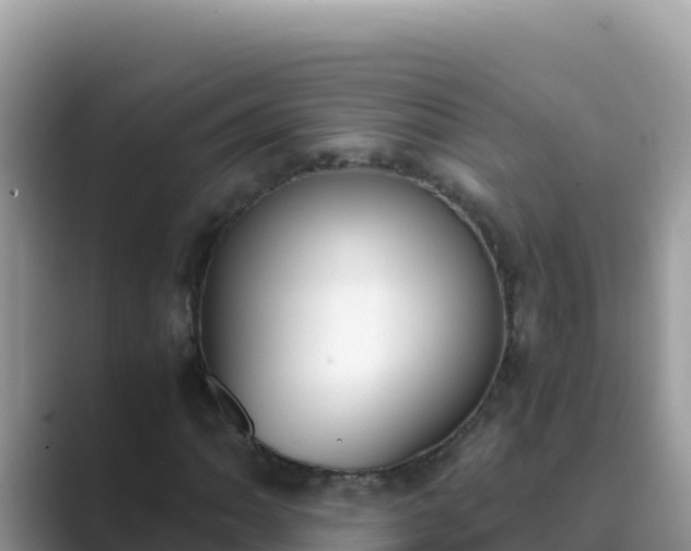 X0000089831062200707051035