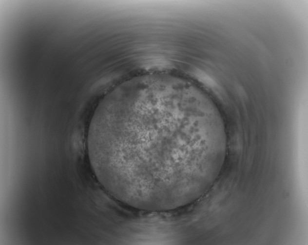 X0000089831063200707051035