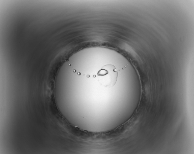 X0000089831064200707051034