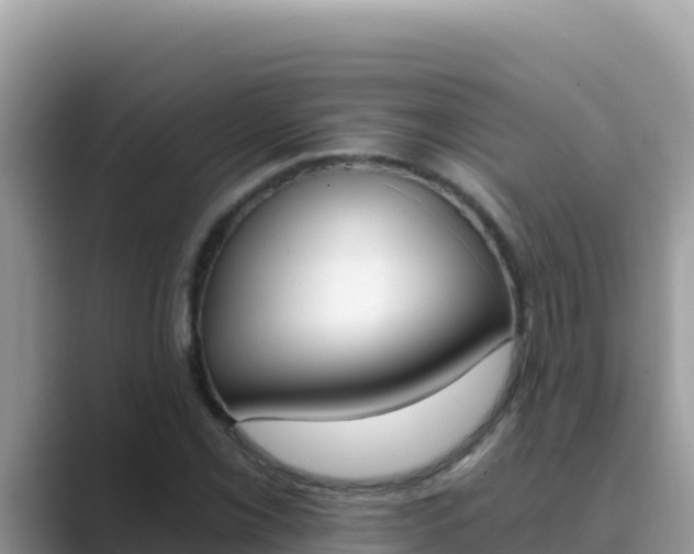 X0000089831069200707051034