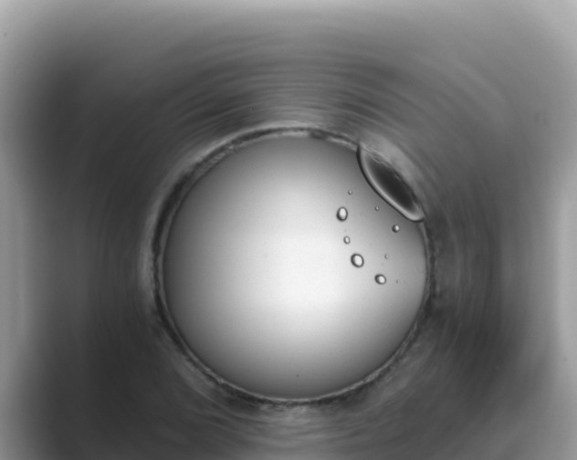 X0000089831072200707051034