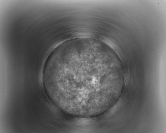 X0000089831074200707051034