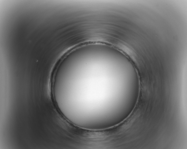 X0000089831076200707051034