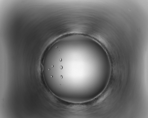 X0000089831077200707051034