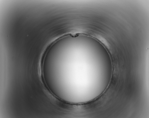 X0000089831080200707051034