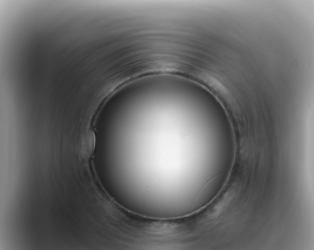 X0000089831081200707051034