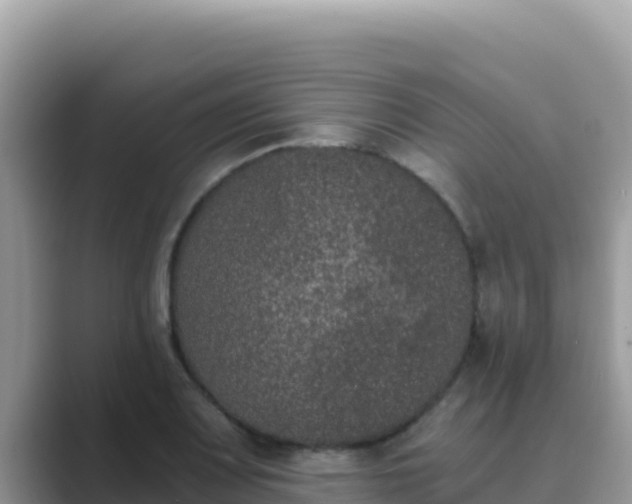 X0000089831083200707051034