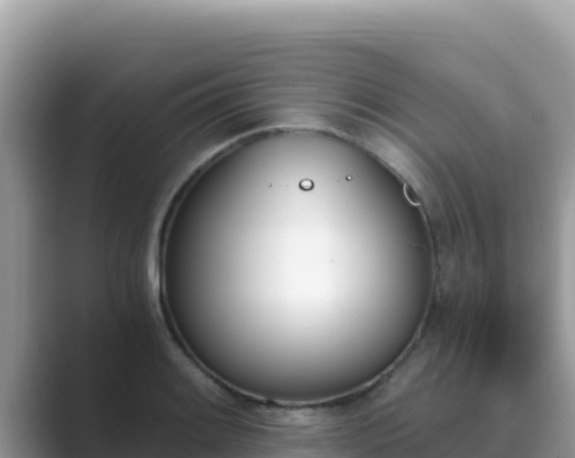 X0000089831084200707051034