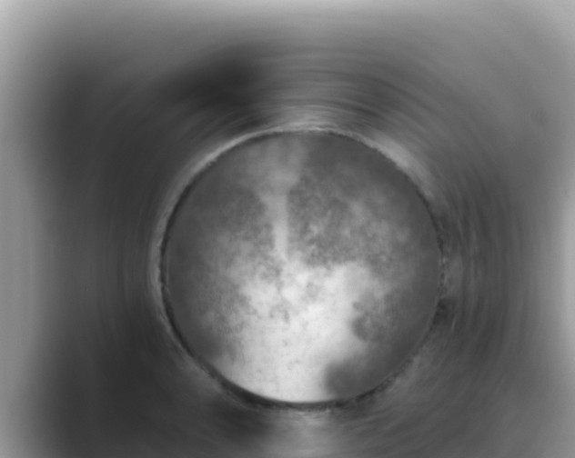 X0000089831086200707051034