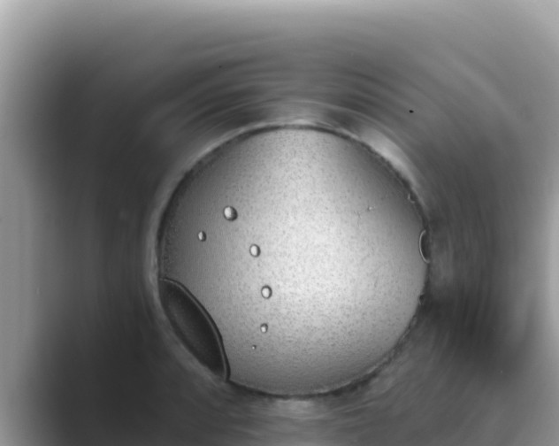 X0000089831088200707051034