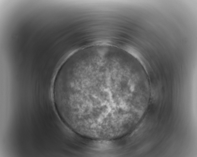 X0000089831090200707051034