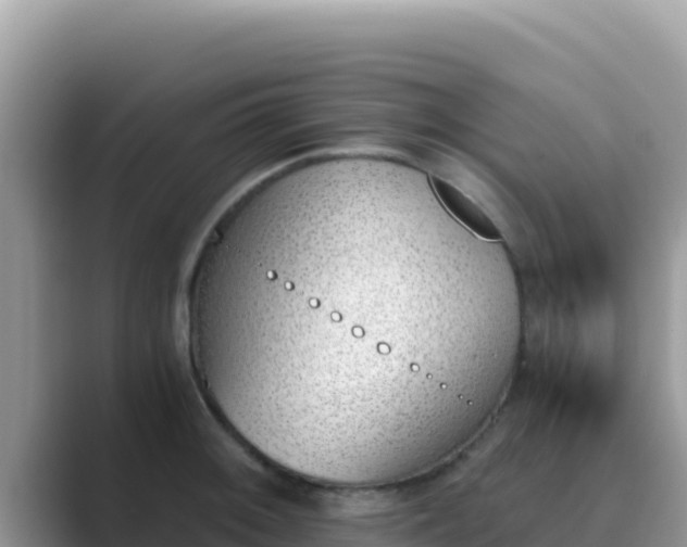 X0000089831092200707051034