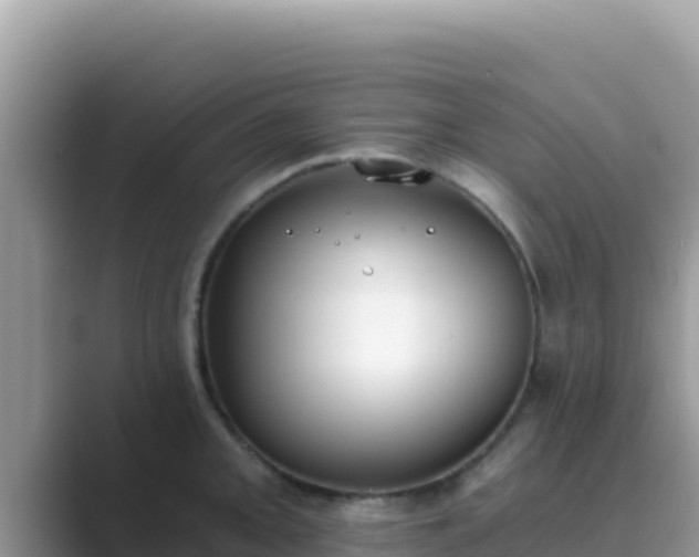 X0000089831093200707051034