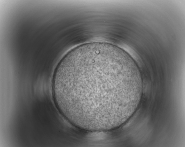 X0000089831094200707051034