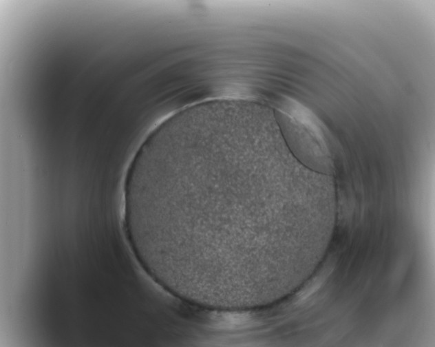 X0000089831095200707051034