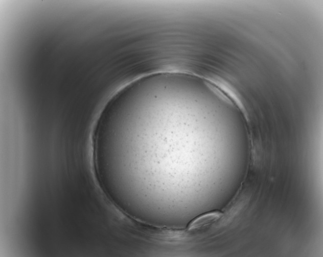 X0000089831096200707051034