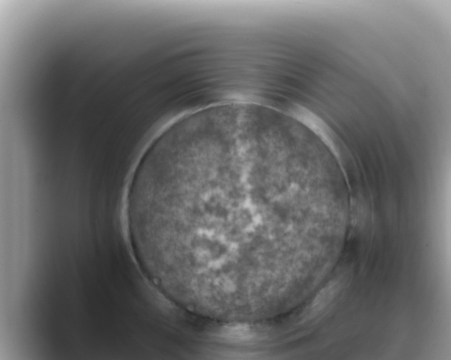 X0000089831098200707051034