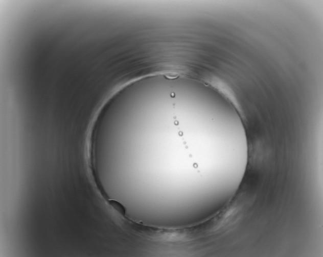 X0000089831099200707051034