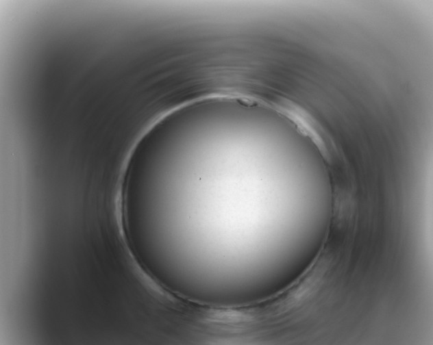 X0000089831100200707051034