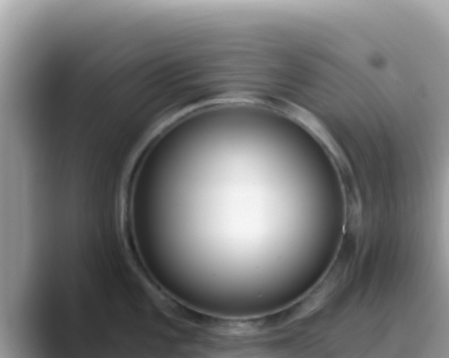 X0000089831101200707051034