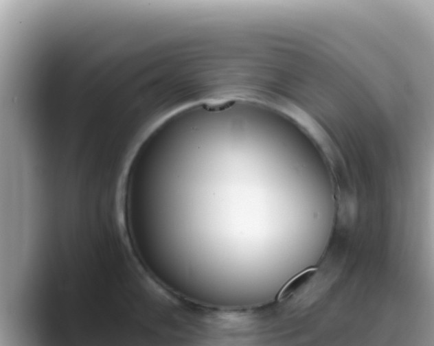 X0000089831102200707051034