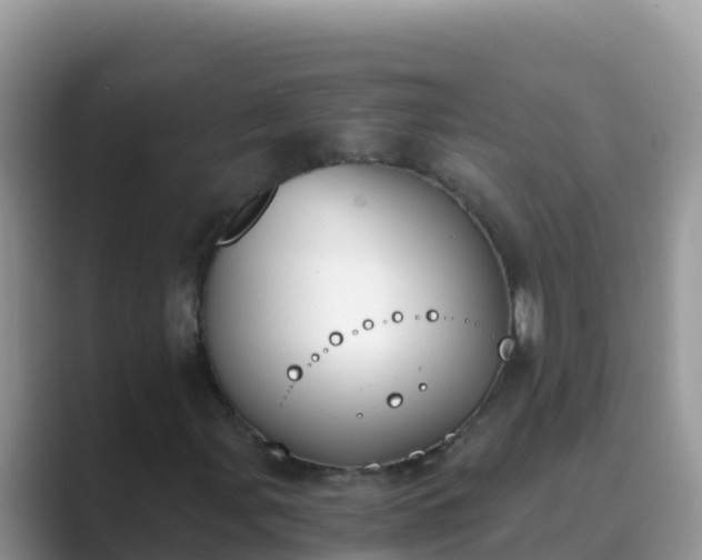 X0000089831107200707051033