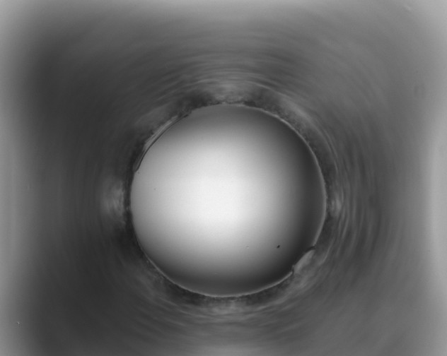 X0000089831108200707051034