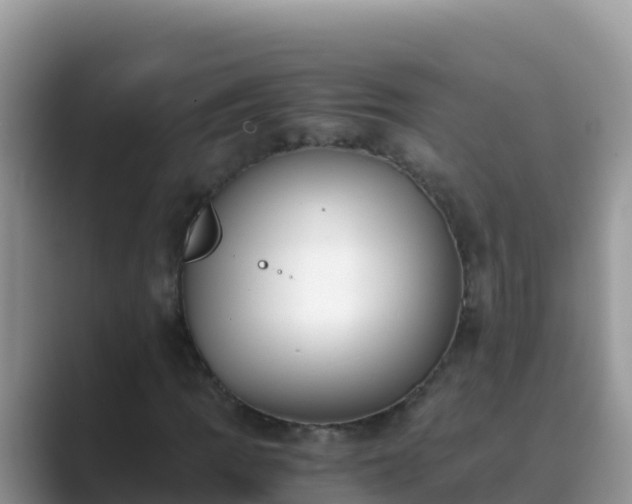 X0000089831109200707051034