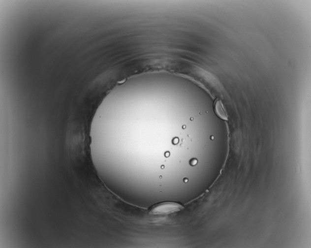 X0000089831111200707051034