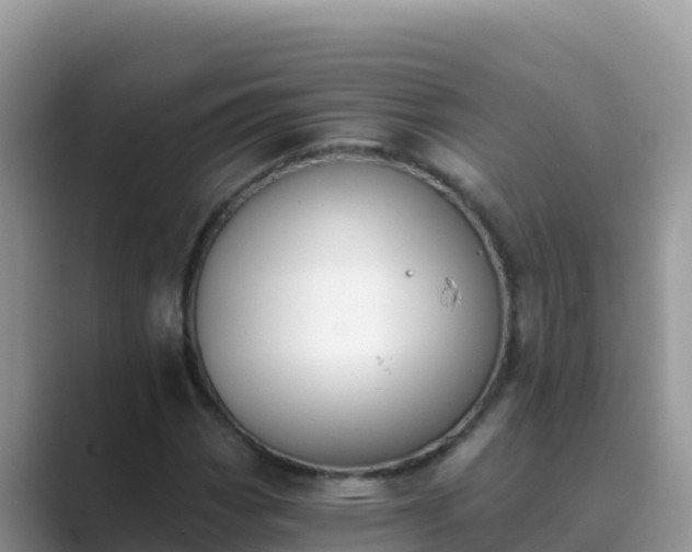 X0000089831113200707051034