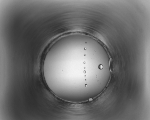 X0000089831116200707051034